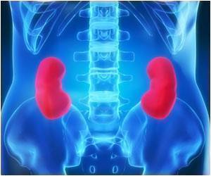 kidney-disease_2.jpg